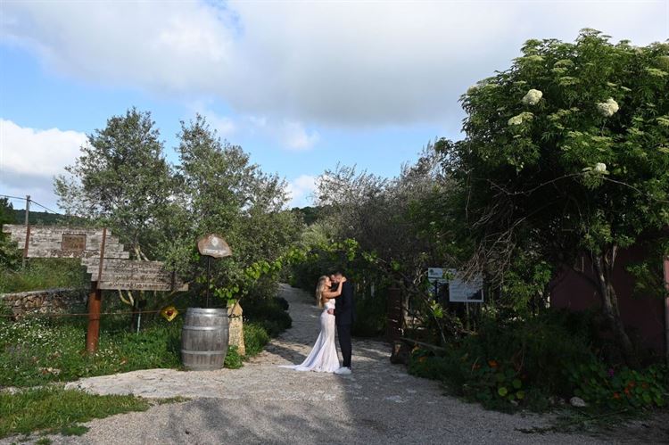 צילום: יוסי אליאסי