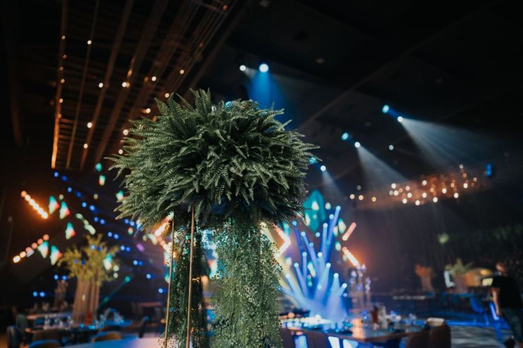 צילום: Your Story