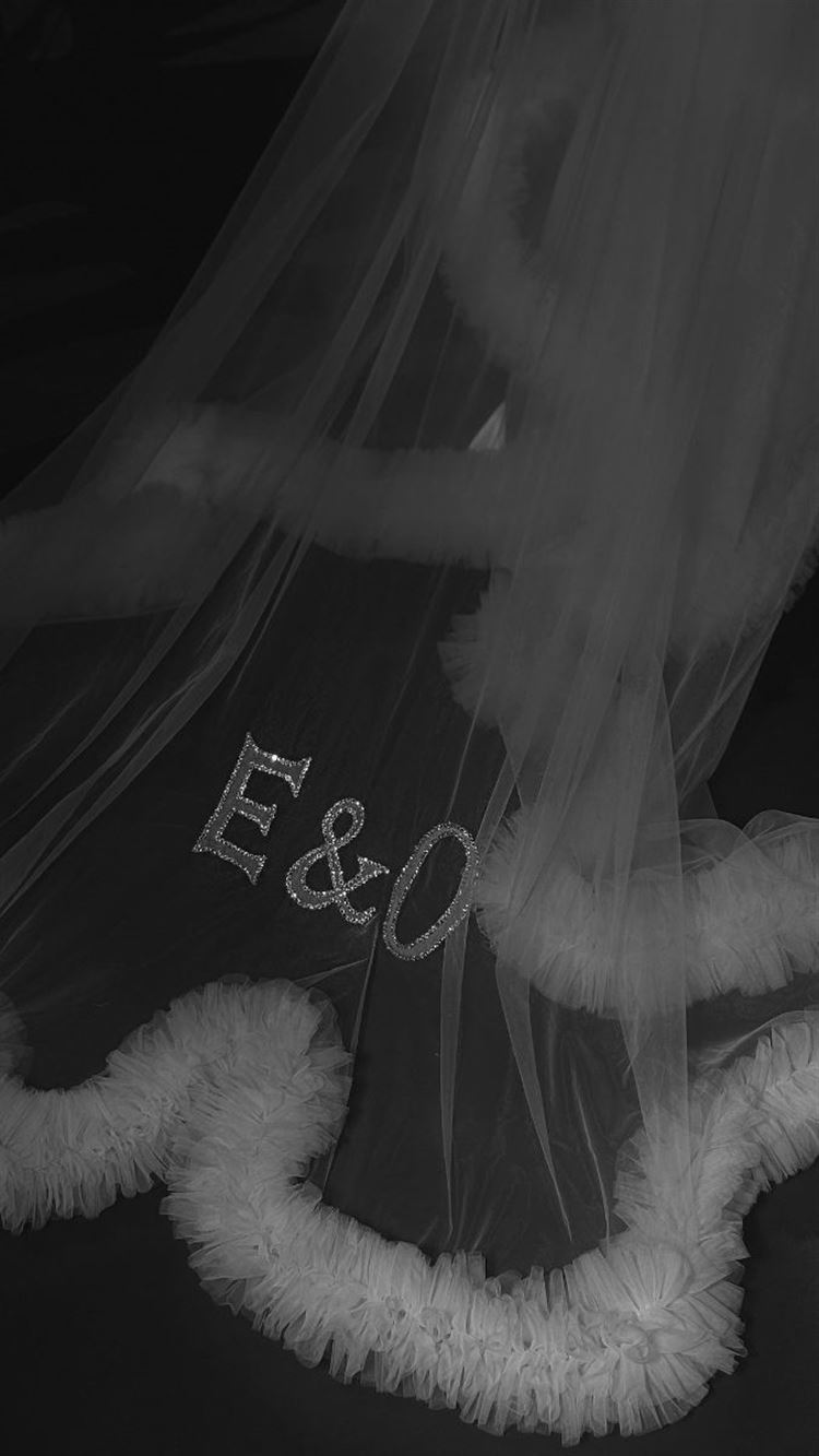 צילום: רון קובי