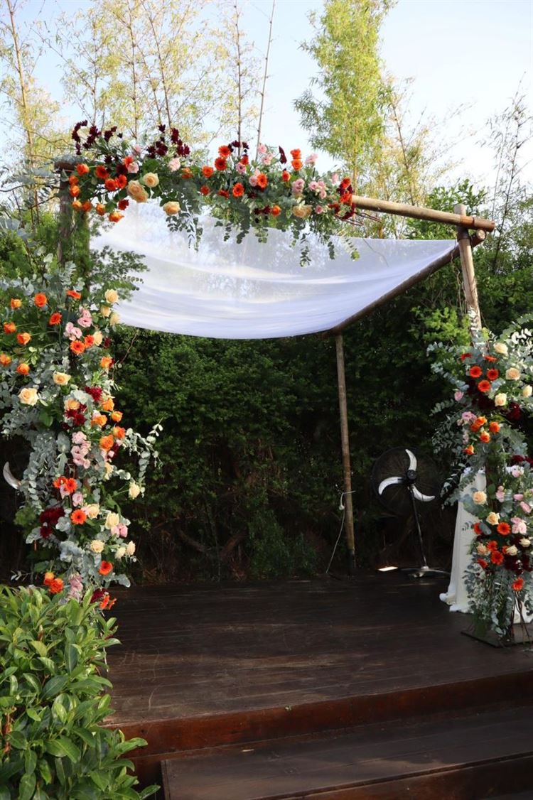 צילום: אלי ראול