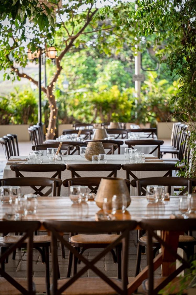 צילום: שי מסינטר