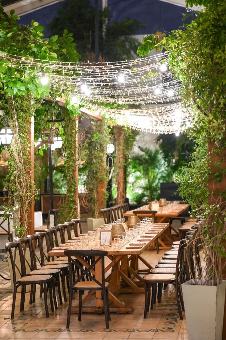 צילום: שי מסינטר