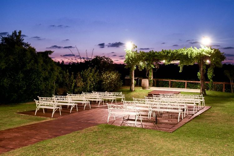 צילום: שי מסינטר