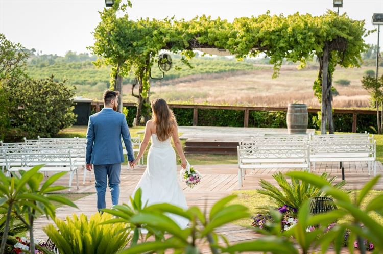 צילום: שי מסינטר