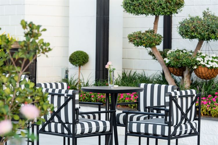 צילום: וואלה! מזל טוב