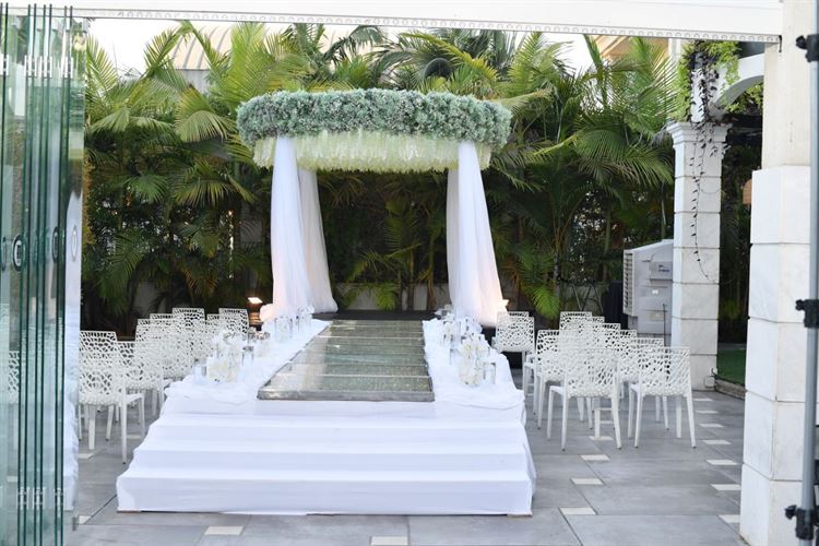 צילום: avi red camera