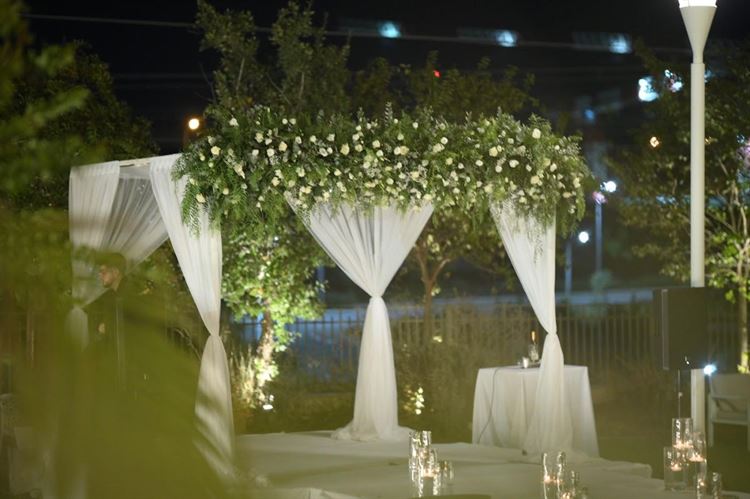 צילום: מומנטוס