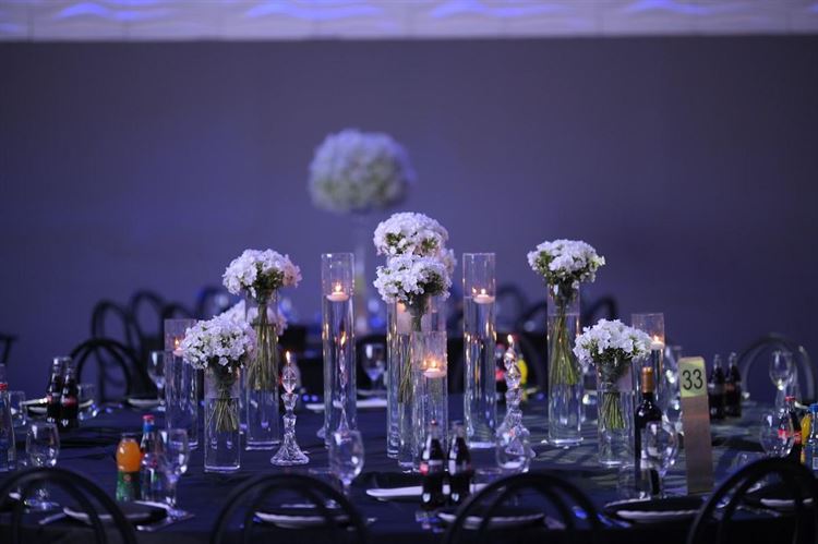 צילום: מומנטוס