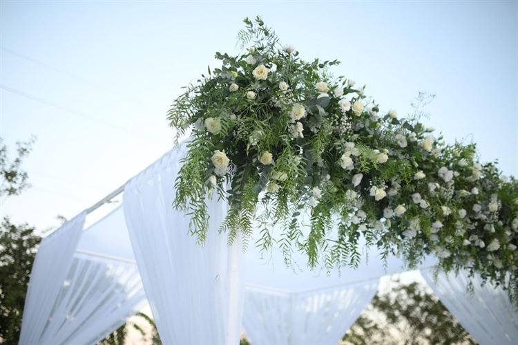 צילום: מומנטוס