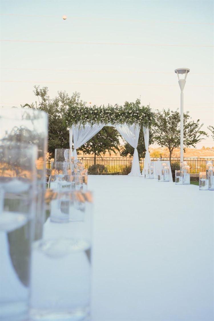 צילום: מומנטוס