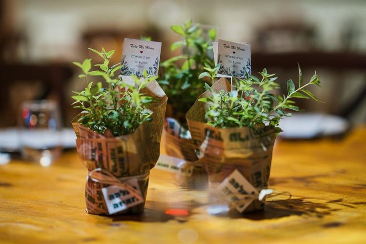 צילום: סברס צלמים