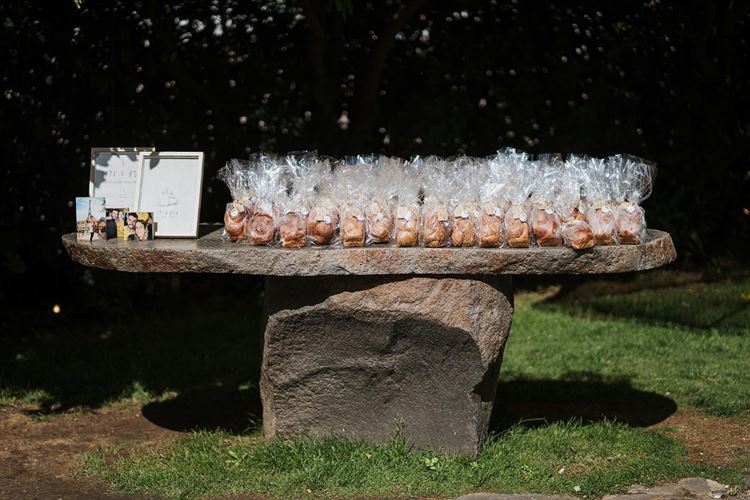 צילום: סברס צלמים