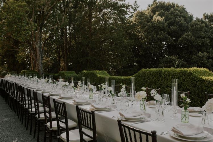 צילום: חן לוי