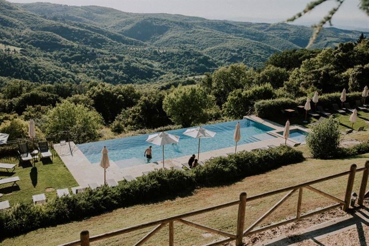 צילום: חן לוי