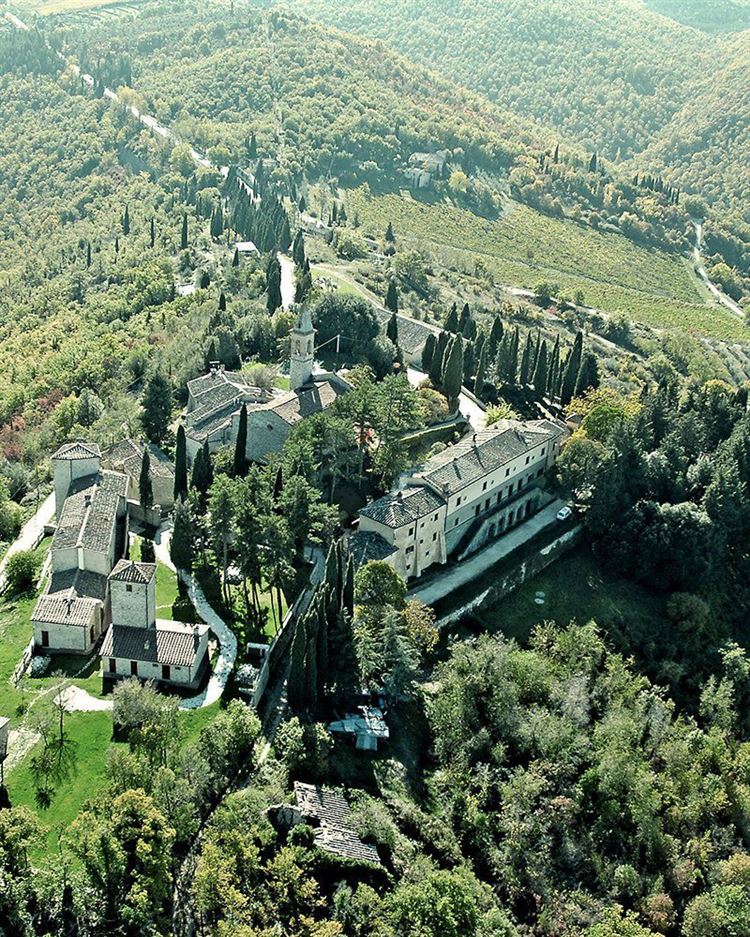 צילום: חן לוי