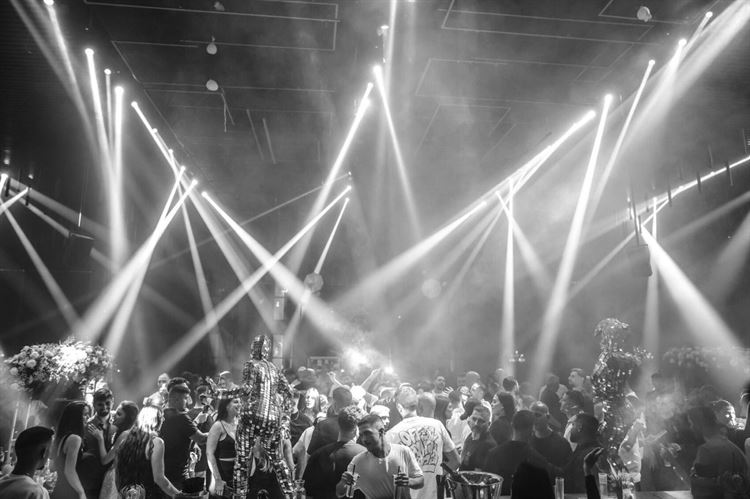 צילום: אדיר וענונו ״פפראצי צלמים״