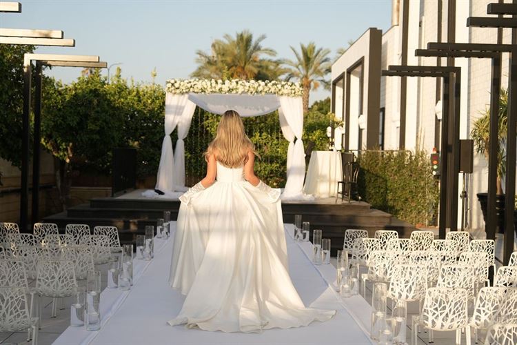 צילום: רמי כהן