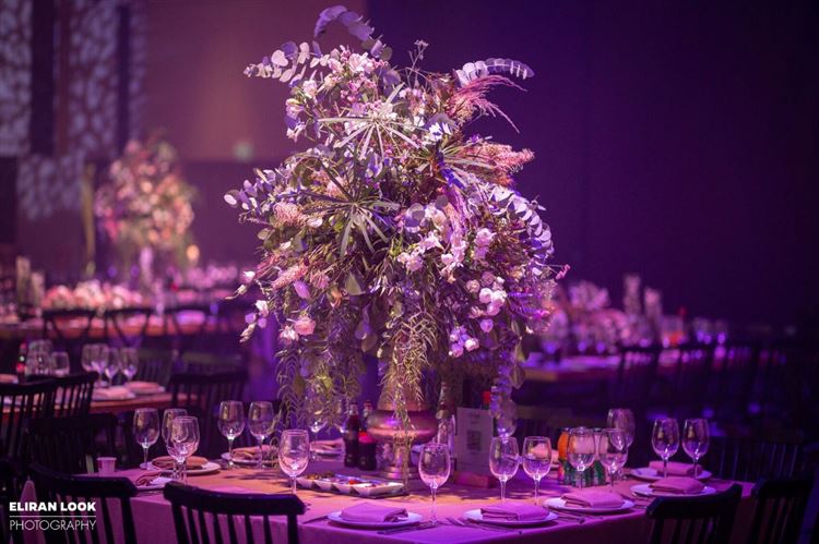 צילום: אלירן לוק