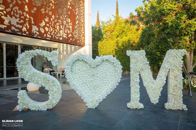 צילום: אלירן לוק