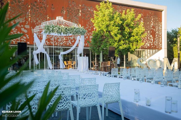 צילום: אלירן לוק