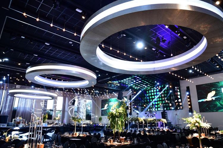 צילום: אבי אלפסי