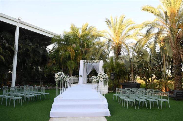 צילום: אבי אלפסי