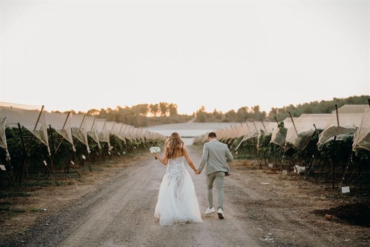 צילום: דימה וזינוביץ׳