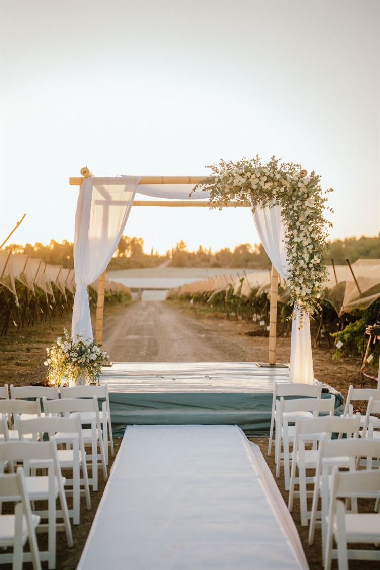 צילום: דימה וזינוביץ׳