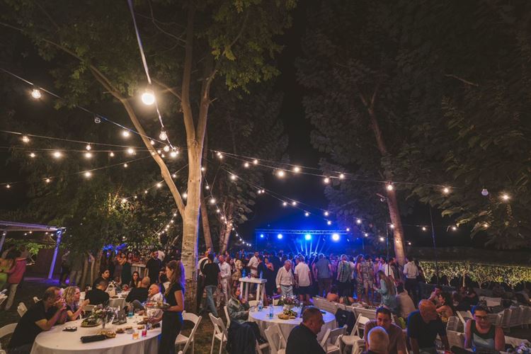 צילום: דימה וזינוביץ׳