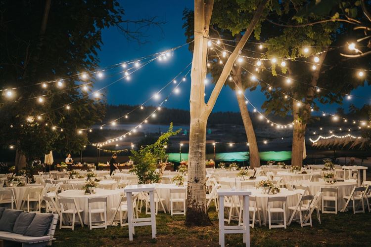 צילום: דימה וזינוביץ׳