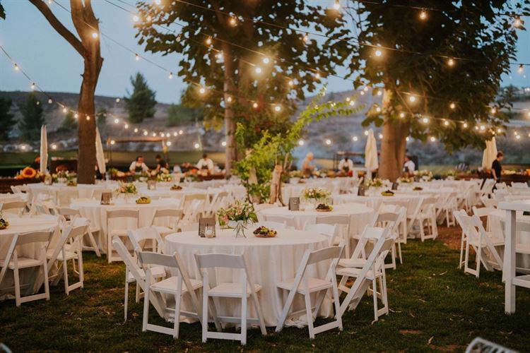 צילום: דימה וזינוביץ׳