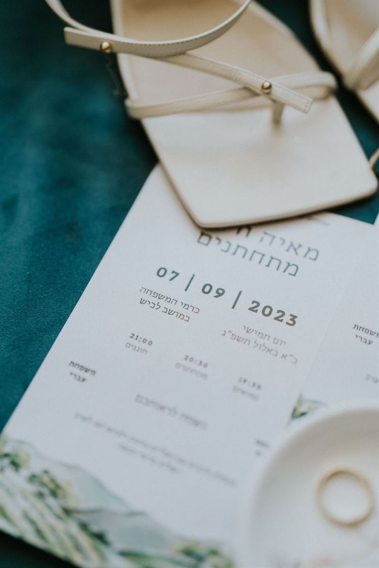 צילום: דימה וזינוביץ׳