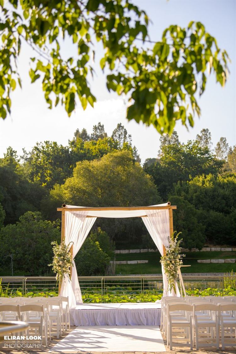 צילום: אלירן לוק