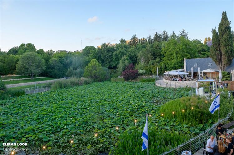 צילום: אלירן לוק