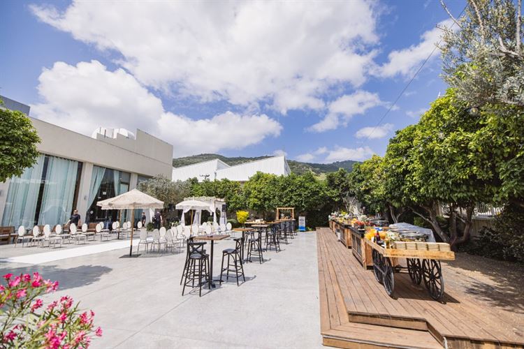 צילום: וואלה! מזל טוב