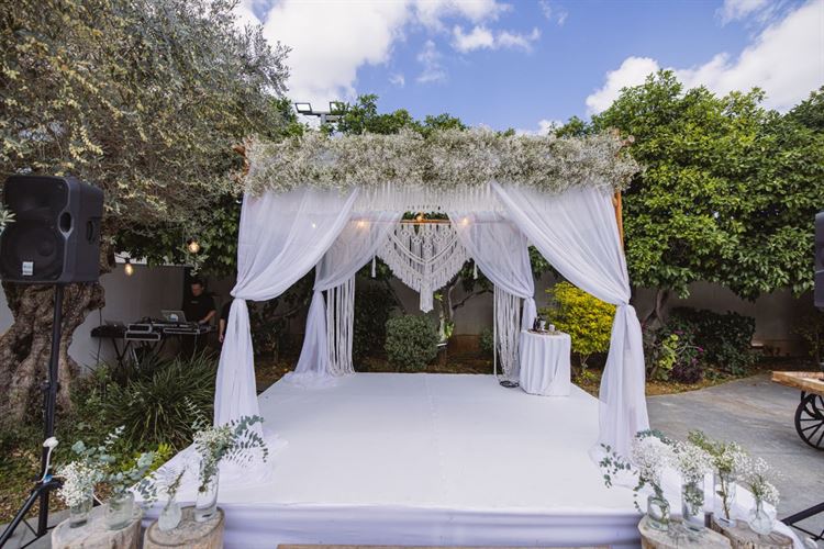 צילום: וואלה! מזל טוב