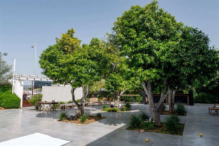 צילום: וואלה! מזל טוב