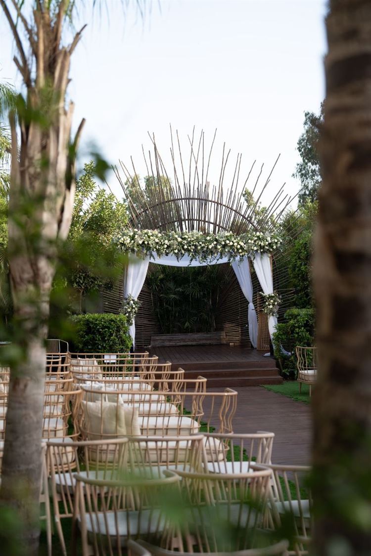 צילום: ברנדו פוטוגרפי