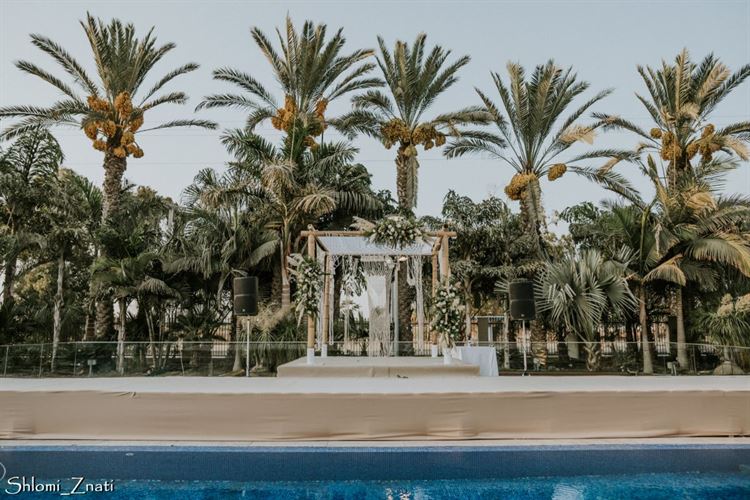 צילום: שלומי זנתי