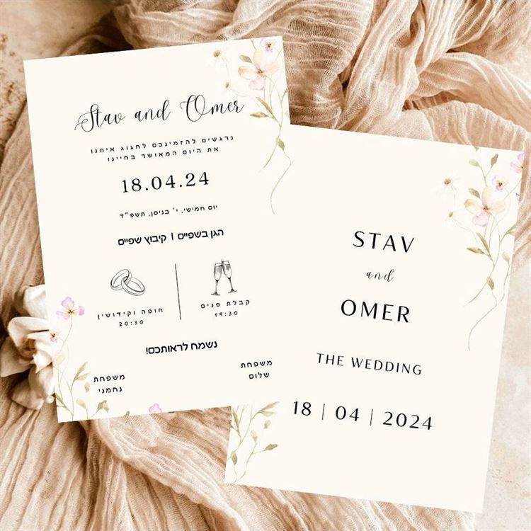 צילום: לירון סער