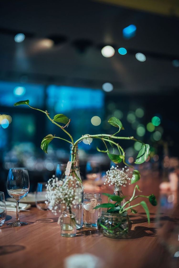 צילום: לירון סער