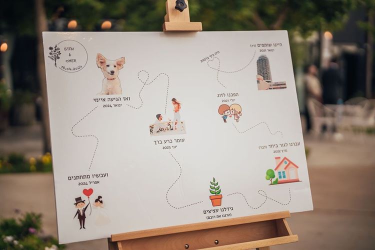 צילום: לירון סער