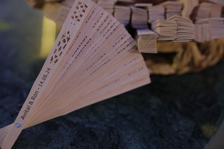 צילום: שי אסייג