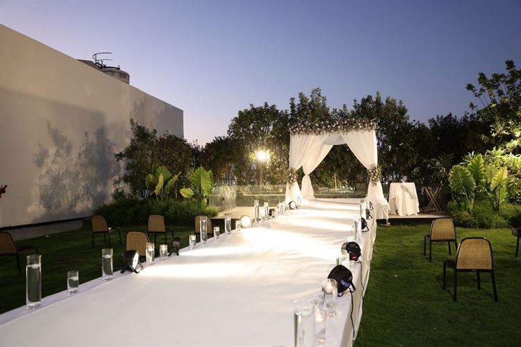 צילום: שי אסייג