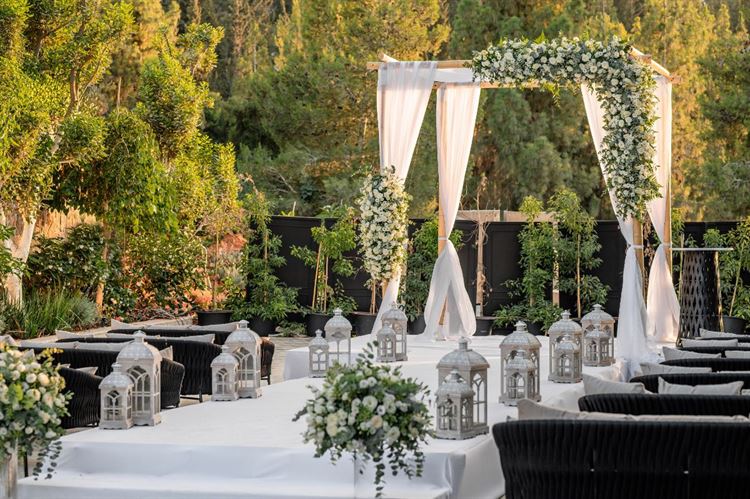 צילום: וואלה מזל טוב