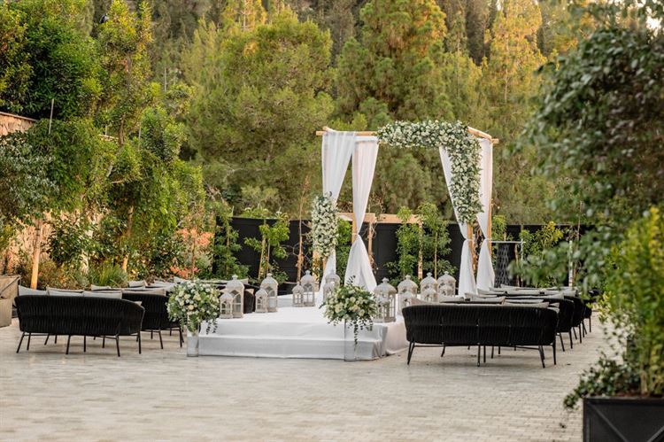 צילום: וואלה מזל טוב