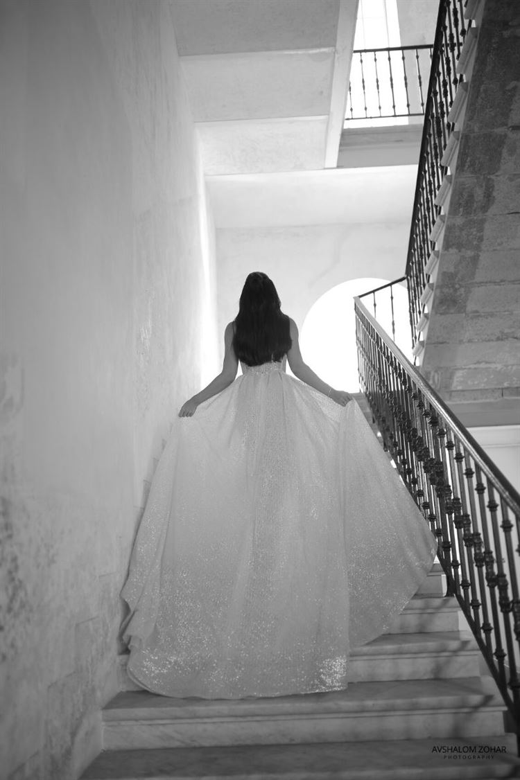 צילום: אבשלום זוהר