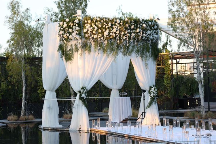 צילום: אבשלום זוהר