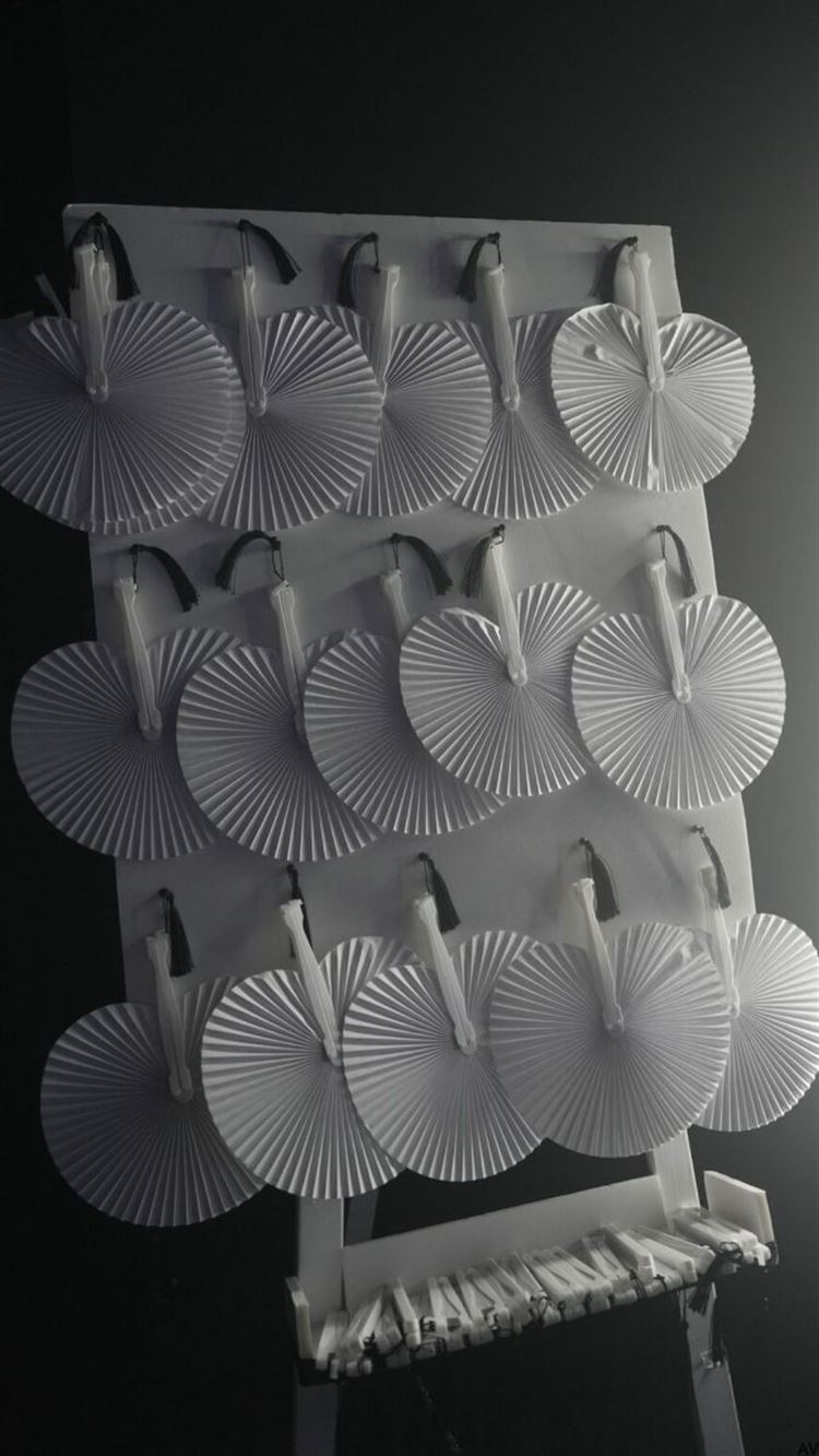 צילום: אבשלום זוהר