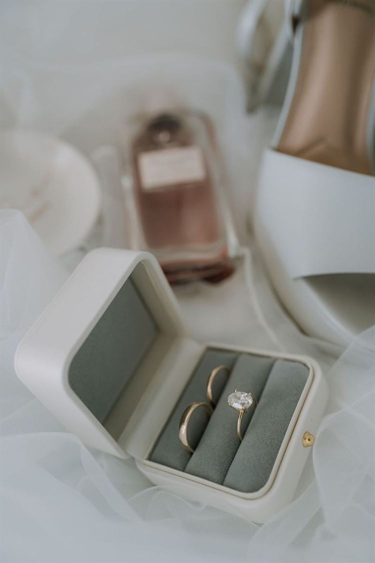 צילום: אלון גרובר